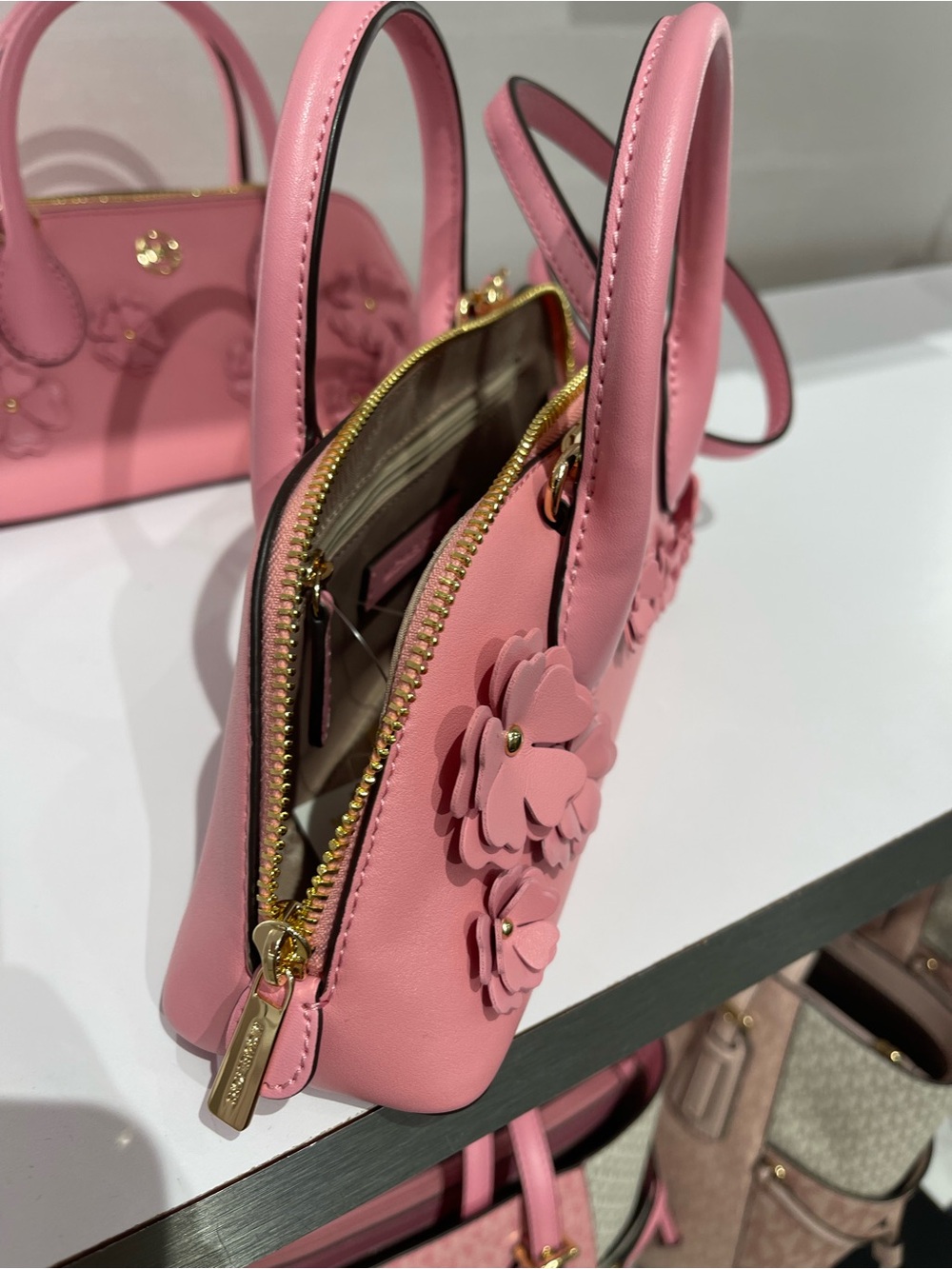 MICHAEL KORS Petra Small Floral Embellished Crossbody Bag
Carnation
NWT - Picture 11 of 16